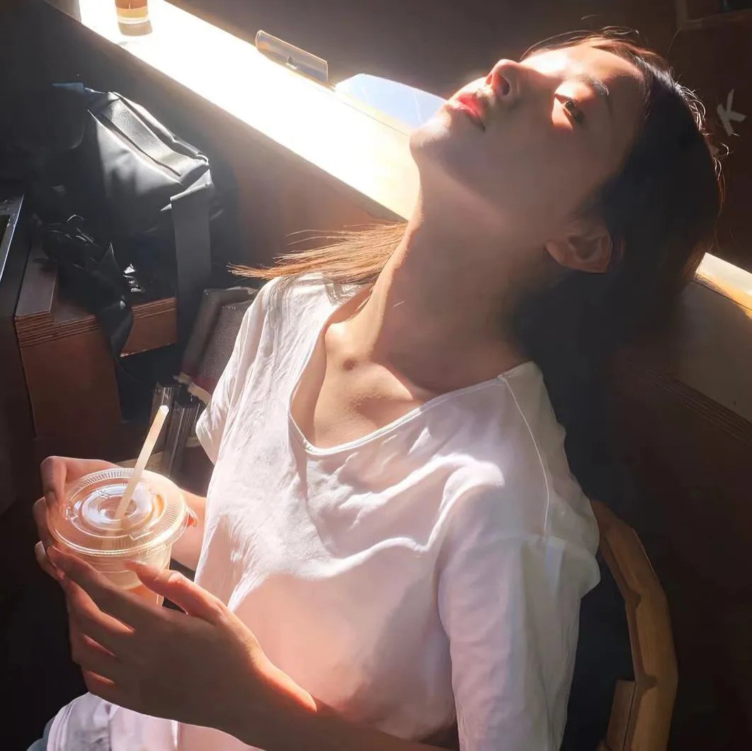 庇护棕榈树下